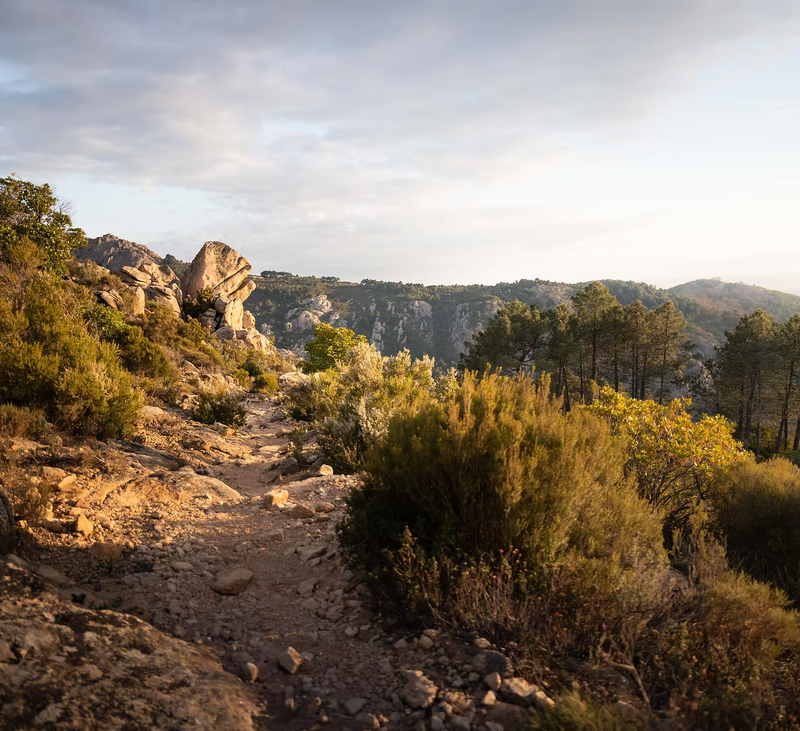 A rocky dirt path winds through bushes and trees on a hillside, with boulders and distant cliffs, evoking Mediterranean scents—just like the ambiance created by the ISULA parfums Room Diffuser - Maquis - No. 13.