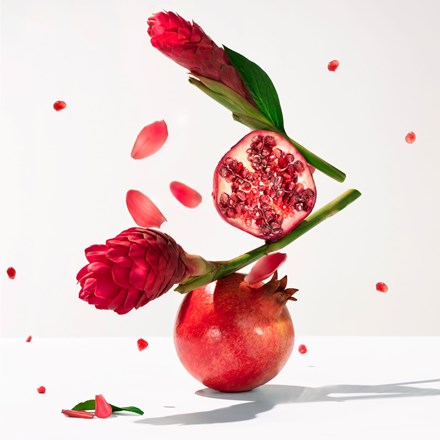 A pomegranate with two red ginger flowers, pink petals, and seeds surrounds Roger & Gallet Red Ginger Wellbeing Water - 1oz, capturing the vibrant freshness and lively notes of this fragrance against a clean white background.