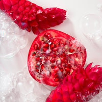 A halved pomegranate and pink pinecone-like objects sit amid translucent bubbles, evoking Roger & Gallet Red Ginger Wellbeing Soaps Set 3 x 3.5 oz, all set against a white background.
