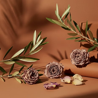 ISULA parfums Sognu di Mediterraniu - Mediterranean Dream eaux de parfum