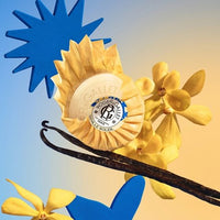 Roger & Gallet Vanille Soleil Wellbeing Soap 3.5 oz - Hampton Court Essential Luxuries