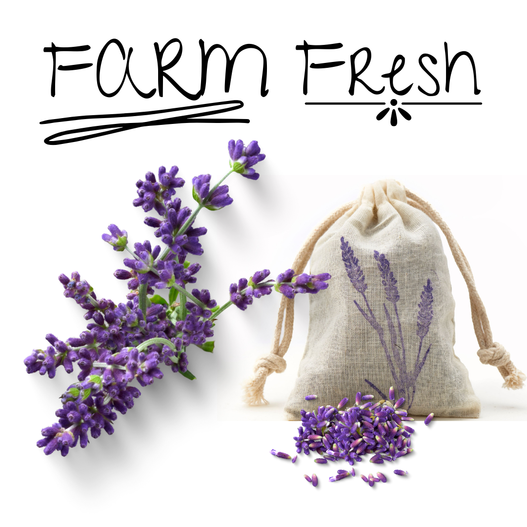 FARMERS Lavender Co. Lavender Sachet