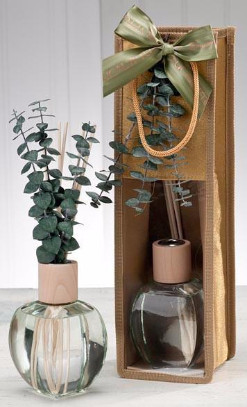 Eucalyptus Scent Diffuser - Sonoma Lavender Shop