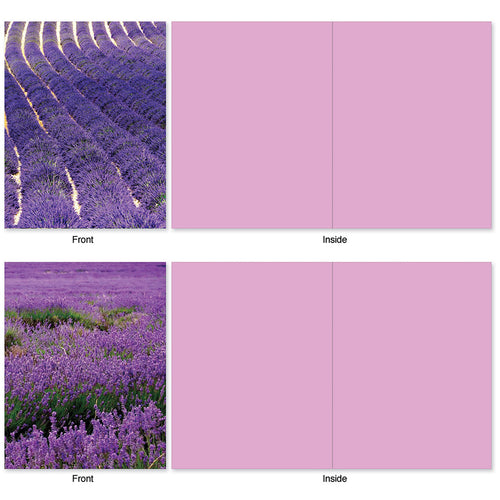 The image shows two "All Occasion Boxed Note Cards - Lavender Fields Forever" from The Best Card Co. Both cards feature beautiful lavender fields. The top card has curved lavender rows under a bright sky, while the bottom card displays a sprawling lavender field extending to the horizon.