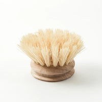 A round, natural wooden Andrée Jardin Tradition Handled Dish Brush with stiff, cream-colored bristles splayed outwards, placed against a plain white background.