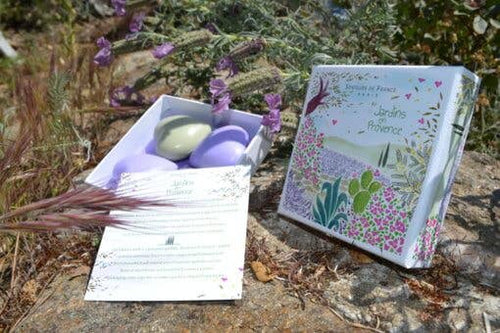 An open book titled "Jardins de Provence" next to a box filled with Senteurs De France Olive & Lavender Heart Soaps, resting on a rock amidst purple wildflowers and grasses in a natural setting.