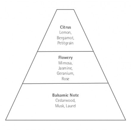 An image of a pyramid divided into three horizontal sections labeled from top to bottom: citrus (essence of lemon and orange, bergamot, petitgrain), flowery (mimosa, Carthusia Aria di Capri Eau de Parfum - 50ml.
