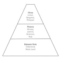 An image of a pyramid divided into three horizontal sections labeled from top to bottom: citrus (essence of lemon and orange, bergamot, petitgrain), flowery (mimosa, Carthusia Aria di Capri Eau de Parfum - 50ml.