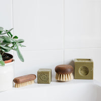 Two Andrée Jardin Heritage Ash Wood Body Brushes and a bar of green Cube Soap next to a potted succulent on a white tile surface.