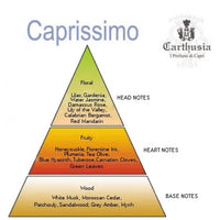 An infographic showing the Capri fragrance pyramid for "Carthusia Caprissimo Profumo - 50ml" by Carthusia I Profumi de Capri. The top notes include floral scents, heart notes are fruity and floral, and base