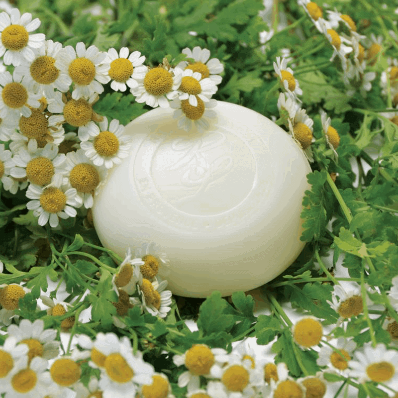 A round, sweet La Lavande Cologne Soap bar with a carved design, nestled among fresh chamomile flowers on a bed of green leaves. The setting is vibrant, highlighting the soap's natural context.