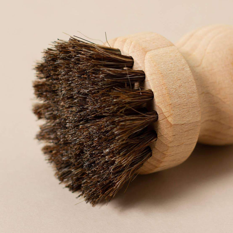 Close-up of a Norfolk Natural Living Pot/Scrub Brush for Cube Soaps with stiff, dense natural bristles, on a beige background.