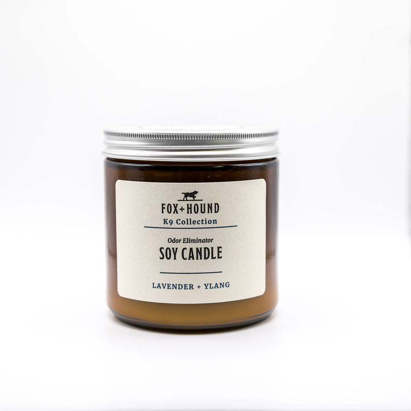 A jar of Fox + Hound Lavender + Ylang Nighttime Odor Eliminator Soy Candle, isolated on a white background.