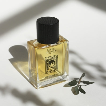 A square glass perfume bottle with a black cap and yellow liquid inside, labeled "Panier des Sens L’Olivier Eau de Parfum," lit by sunlight casting shadows, next to Panier Des Sens.