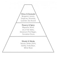 A pyramid diagram displaying Carthusia I Profumi de Capri Essence of the Park Eau de Parfum fragrance notes divided into three tiers: top notes of citrus fruits and aromatic, middle notes of flowery and spicy, and base notes of woody and musky.