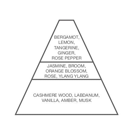 A pyramid diagram with three levels, each containing text. The top level lists citrus and bergamot notes, the middle level includes floral notes like Carthusia Gelsomini di Capri Eau de Parfum - 100ml, and the bottom level describes base notes like wood from Carthusia I Profumi de Capri.
