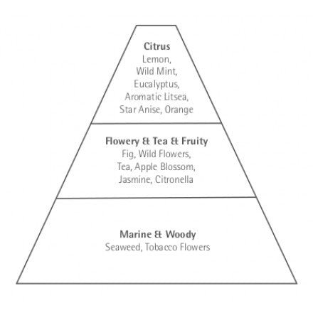 Illustration of a pyramid divided into three segments labeled with scent categories: top with "Carthusia Io Capri Eau de Parfum - 100ml" scents, middle with "flowery & wild fig" scents, and base with "marine" scents.