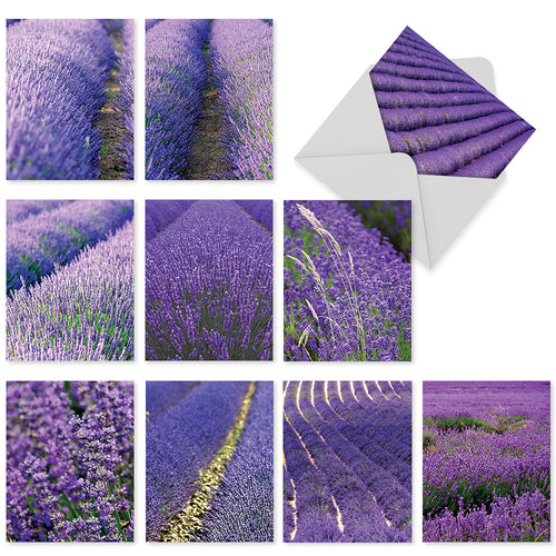 A collage of nine images showing various perspectives of a lavender field, featuring close-ups and wide shots perfect for All Occasion Boxed Note Cards - Lavender Fields Forever from The Best Card Co., that capture the plant’s vibrant purple hues and rich textures.