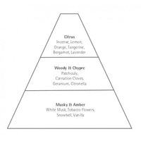 Illustration of a pyramid divided into three sections, labeled from top to bottom: citrus, woody & chypre, and musky & amber, each listing various fragrance components including Carthusia Ligea La Sirena Eau de Toilette - 50ml.