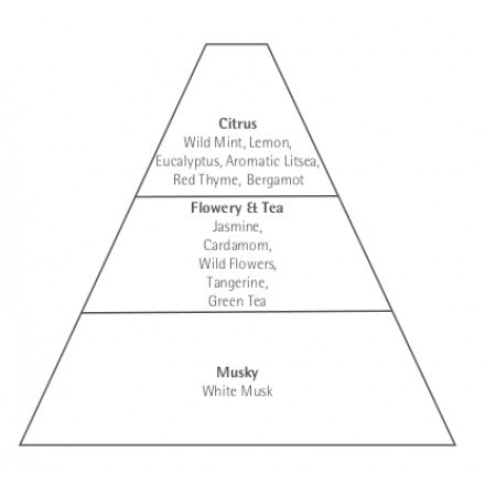 A pyramid diagram categorizing scents into three layers: top notes include citrus, wild mint, and others; middle notes feature flowery & tea like jasmine and Carthusia Linen Fragrance - Mediterraneo; base note listed.