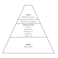 A pyramid diagram categorizing scents into three layers: top notes include citrus, wild mint, and others; middle notes feature flowery & tea like jasmine and Carthusia Linen Fragrance - Mediterraneo; base note listed.