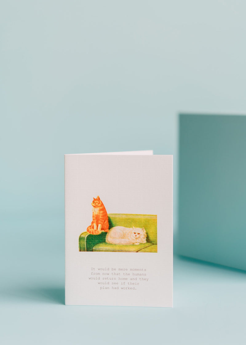 A TokyoMilk greeting card on laid paper stands against a pale blue background, featuring an illustration of a cat on a green couch alongside another cat, with a humorous caption about their plans working out.